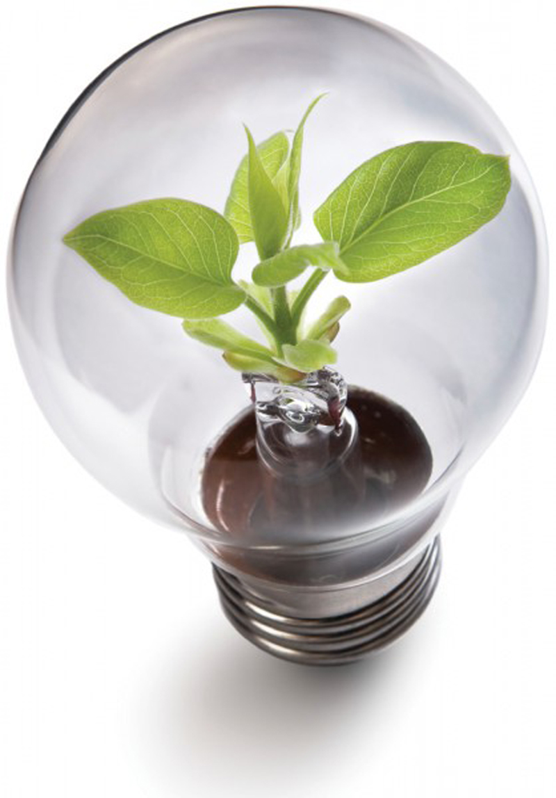 Energie rinnovabili, le migliori offerte per risparmiare » sostariffe.it Risparmiare energia elettrica
