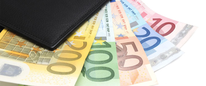 Portafoglio con euro
