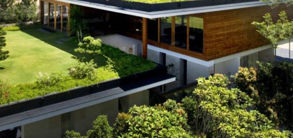 Giardini pensili rientrano nella detrazione del 50 » sostariffe.it Giardini pensili cosa sono